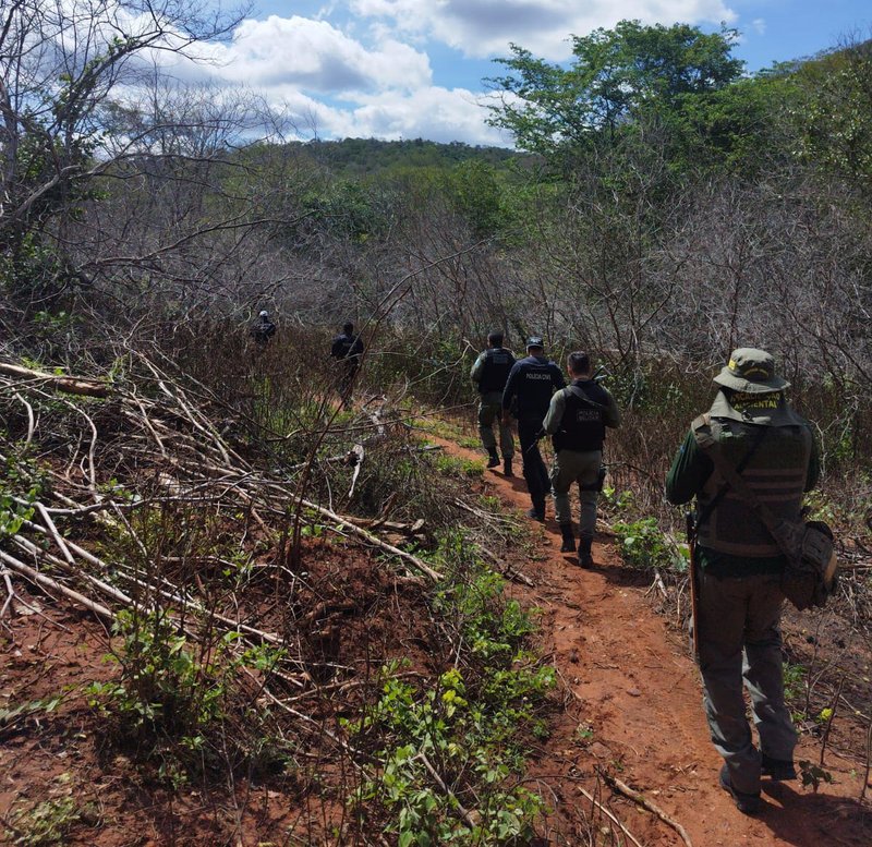 Cerrado Vivo