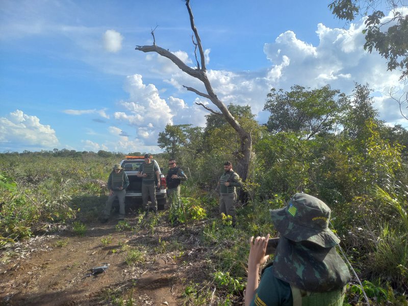 Operação Cerrado Vivo